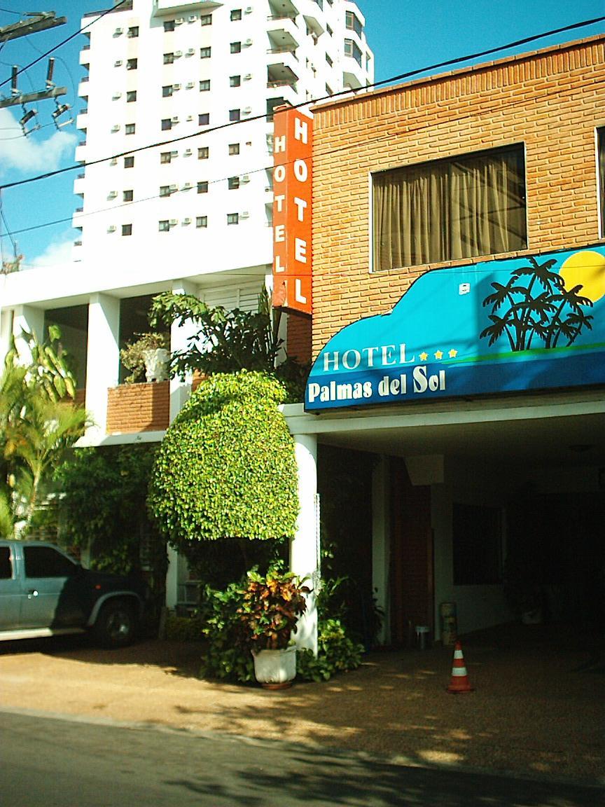 Hotel Palmas Del Sol Асунсьйон Екстер'єр фото
